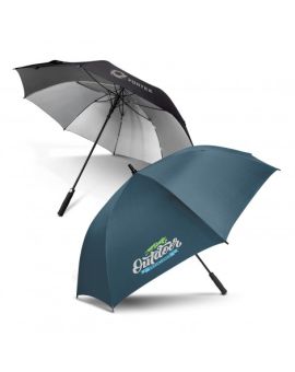 Silver Lined Umbrella