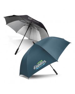 Silver Lined Umbrella